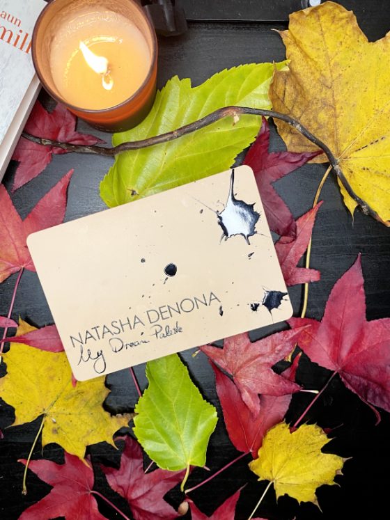 my dream palette natasha denona